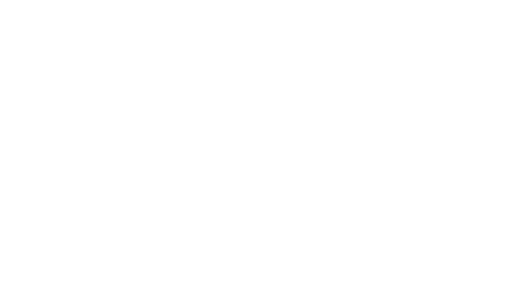 CASTLE HOTEL